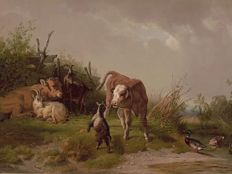 1811-William Harring - Parco giochi per bambini